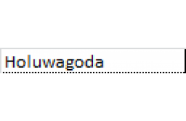 Holuwagoda